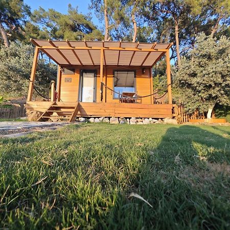 Hotel Tiny Mini House Dalaman Esterno foto