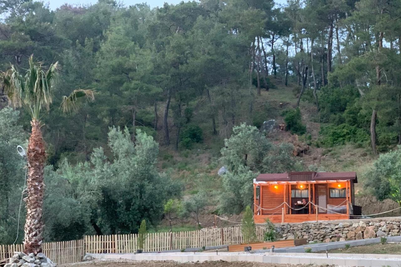 Hotel Tiny Mini House Dalaman Esterno foto