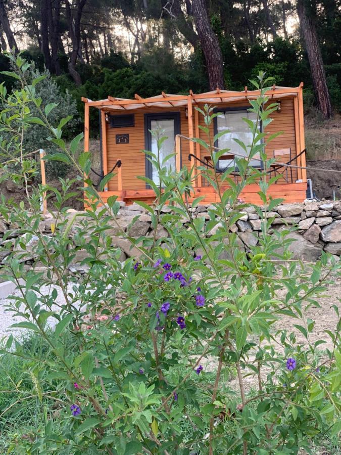 Hotel Tiny Mini House Dalaman Esterno foto