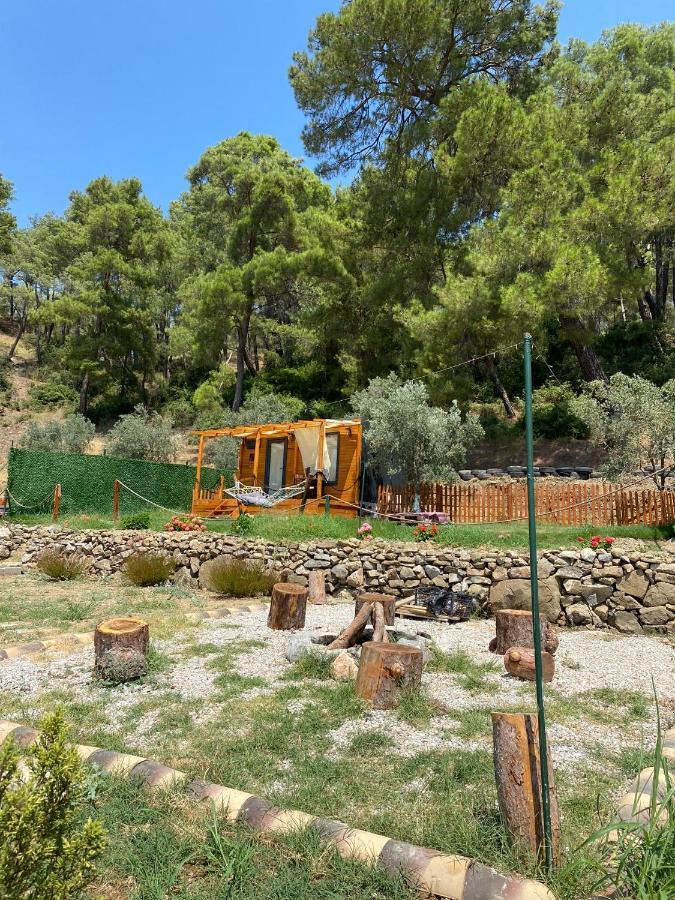 Hotel Tiny Mini House Dalaman Esterno foto
