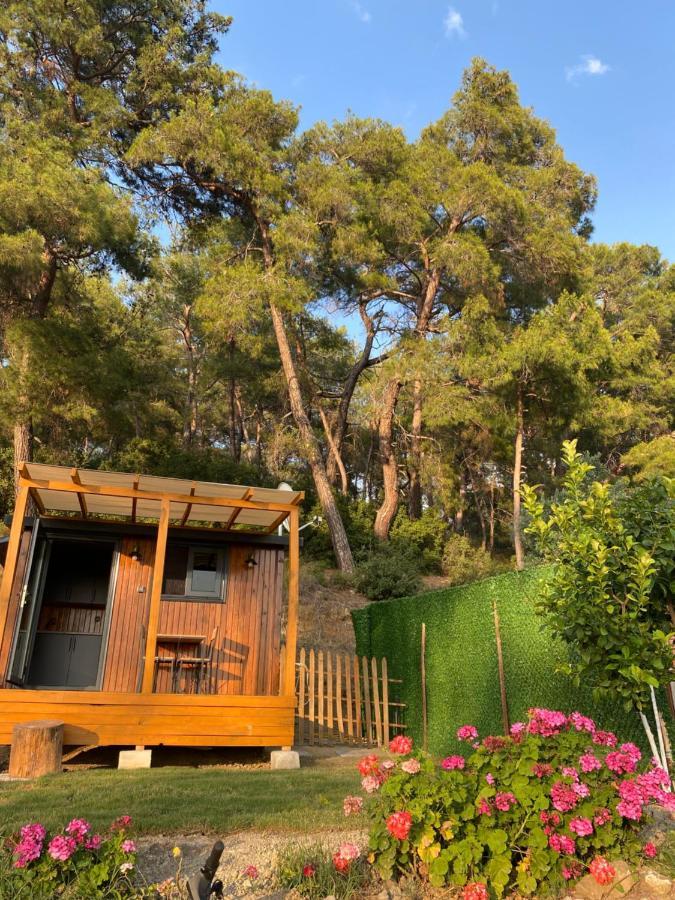 Hotel Tiny Mini House Dalaman Esterno foto